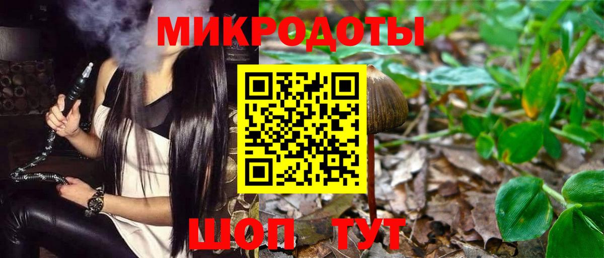 Боровичи  Галлюциногенные грибы Psilocybe  Вход с VPN 